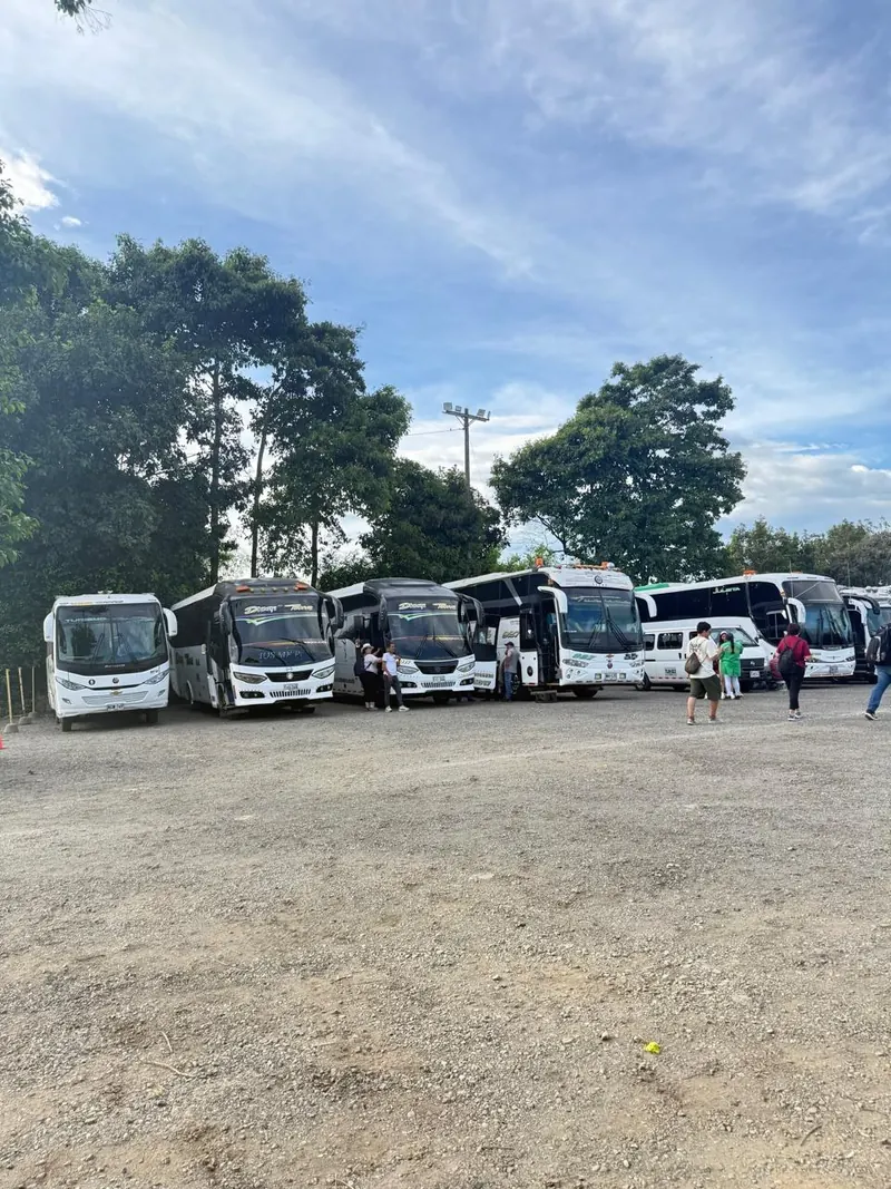 Flota de buses lista para el traslado de participantes del SENA Risaralda